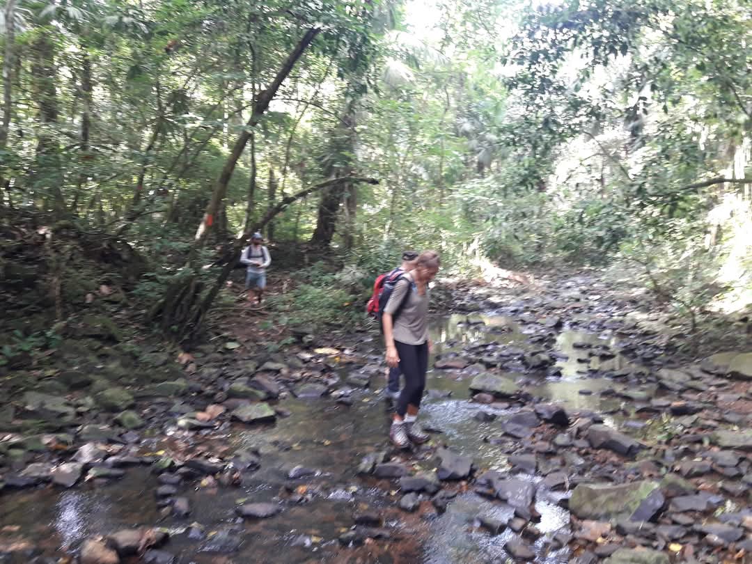 Camino de Cruces – Camino Colonial